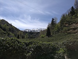 rize,火鸡,山