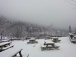 雪,冬天,银行