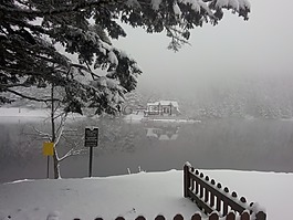 雪,樹,湖