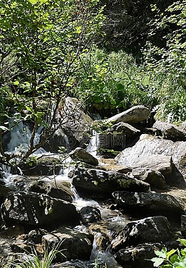 過獨身生活,石頭,水