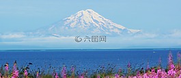 阿拉斯加州,庫克的入口,沿海