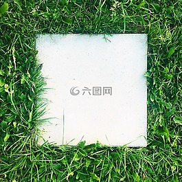 草,混凝土,瓦