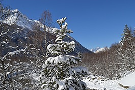 山,冬季,景觀