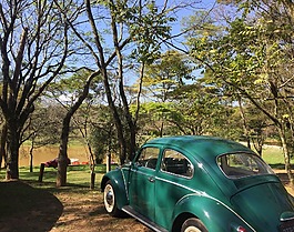 fusca,性质,景观