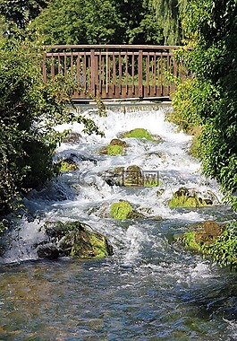 水,橋,網(wǎng)站