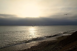海,水,海灘