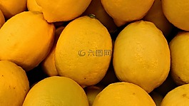 石灰,檸檬,柑橘