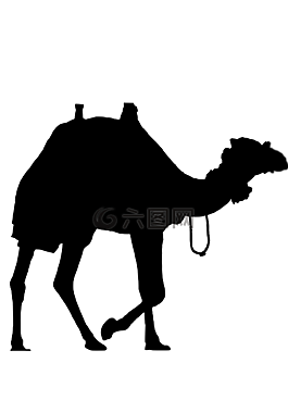 駱駝,動物,側(cè)影