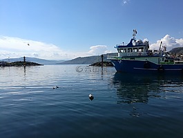 海灘,海洋,漁