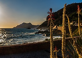 水域,海岸,海