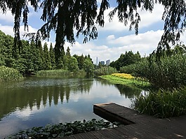 風景,如畫,公園