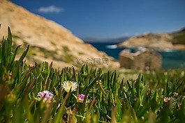性質(zhì),夏季,天空