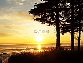 日落,阿拉斯加州,自然