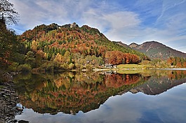 秋季,秋,秋天風景