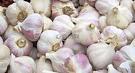大蒜,蔬菜,節(jié)日