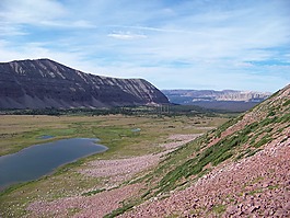 uintas,山,風(fēng)景