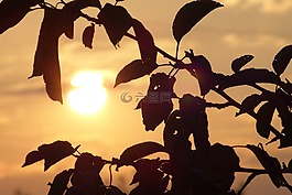 日落,太陽,天空