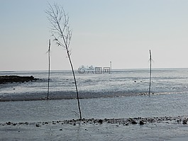 德国,瓦登海,弗雷门