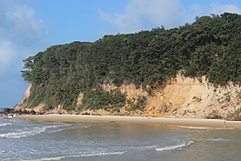 海滩,圣诞,巴西