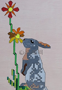 兔,嚙齒類動物,鮮花