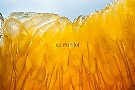 橙色,水果,太陽
