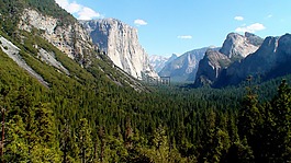 美國,山,景觀
