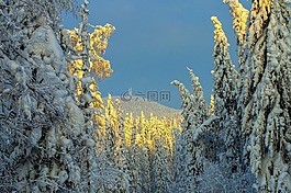 冬季,俄羅斯,雪
