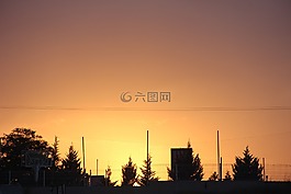 日落,樹,令人驚嘆