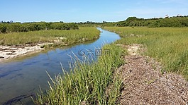 鹽沼,潮汐,沿海