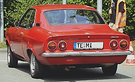 蝠鲼,汽車,同伴
