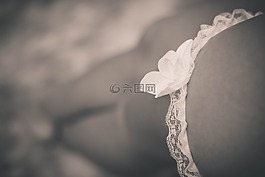 內(nèi)衣,新娘,bodouir