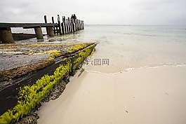 海洋,碼頭,水