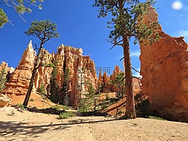 布萊斯峽谷,徒步旅行,猶他州