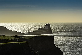 礁,海洋,蠕蟲頭