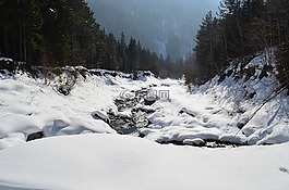 冬天,過獨(dú)身生活,寒冬