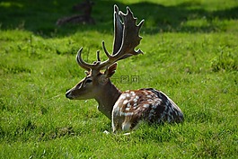 公園,赫爾,存儲模塊