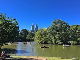 公園,湖,女子