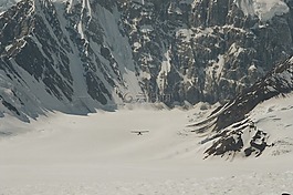 滑雪飛機(jī),布什的飛行員,阿拉斯加州