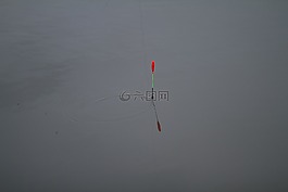 釣魚,水,假期