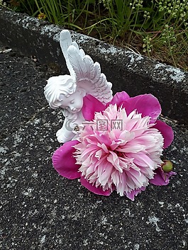 天使,紫,花