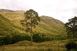 蘇格蘭,高地和島嶼,性質(zhì)