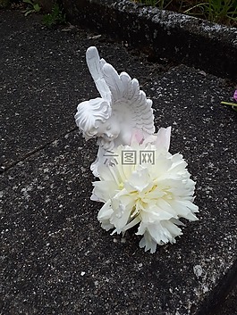 天使,白,花