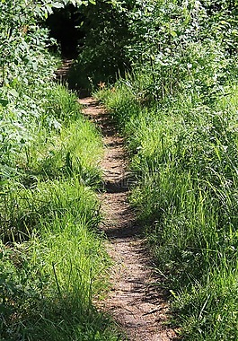 夏天,路徑,性質(zhì)