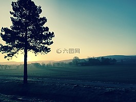 景觀,日出,上午