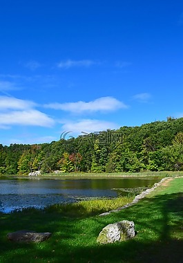 公園,湖,水