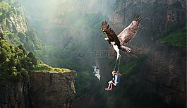 性質(zhì),水域,飛