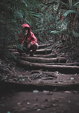 森林,黑暗的,红色