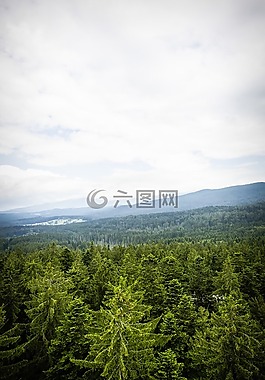 更多,目的地,查看