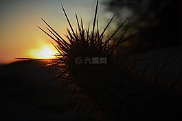東北地區(qū),干,日落
