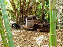 失事,卡車(chē),車(chē)輛